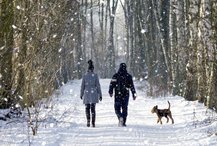 Susitinkame gruodžio 9 dieną Kalėdine dvasia dvelkiančiame žygyje (registracija baigta)